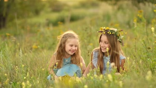 Girls on the Summer Meadow