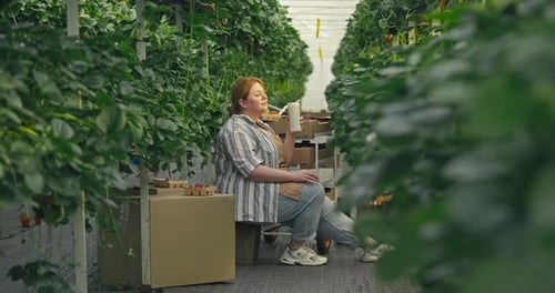A Woman Sits in a Greenhouse Among Green Plants and Works with Supplies While Enjoying the Day