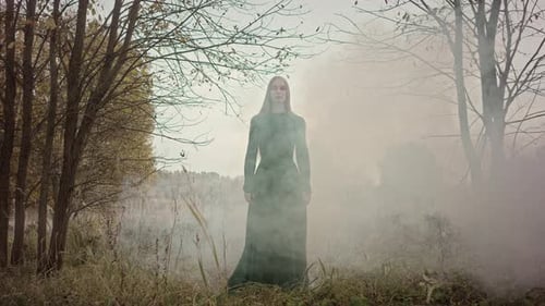 Model posing in foggy forest wearing green dress