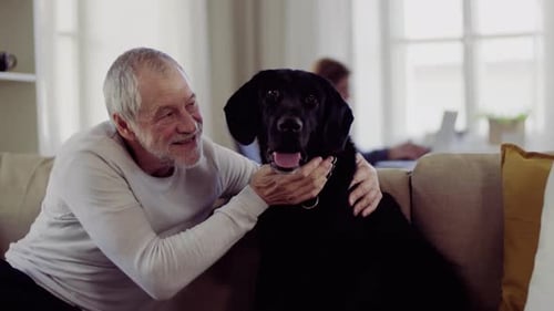 Senior Man Affectionately Petting Black Dog on Sofa
