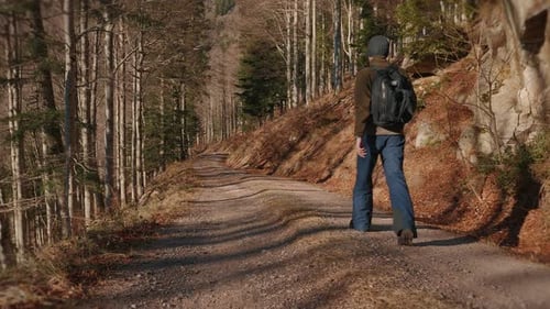 Man tourist with backpack hiking in autumn mountain forest at sunny day