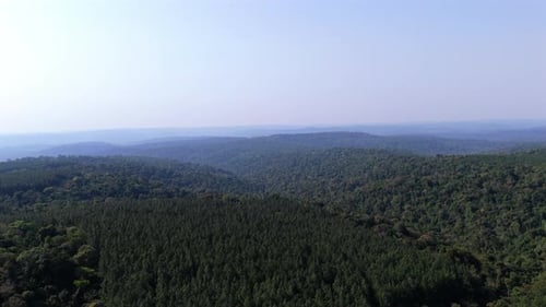 Vue aérienne à couper le souffle sur les collines et les forêts luxuriantes de Misiones, en Argentine