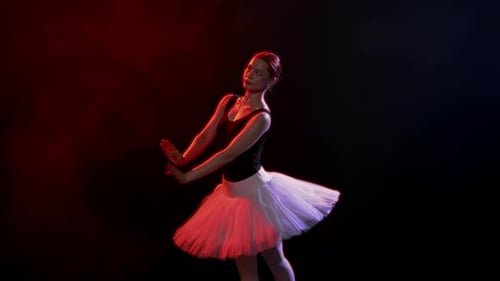 Romantic Ballet Performance Exam or Concert in School of Arts Ballerina Dance Beautiful Ballet