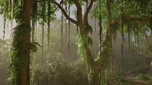 Verdant Forest Teeming With Trees