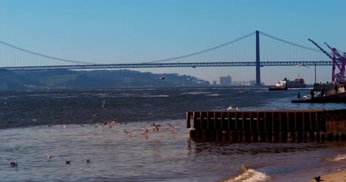 Seagulls flying around a dock