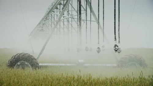 Automated Irrigation System Sprays Water Over Farmland During Daytime