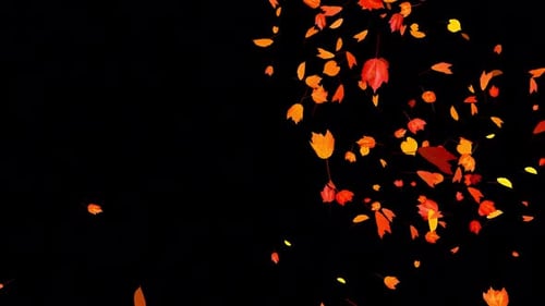 Colorful Autumn Leaves - Windy Flying Spurt Jet Transition - VI - Alpha Channel