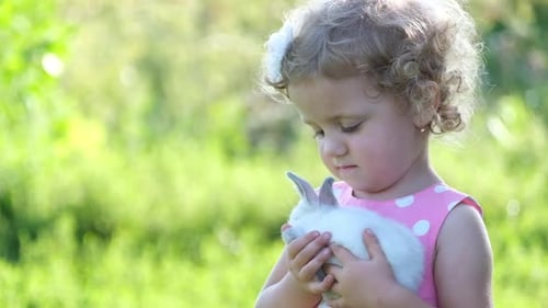 A Child Plays with White Rabbits on the Green Grass in the Garden