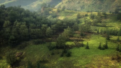 Aerial View of Lush Green Valley in German Alps