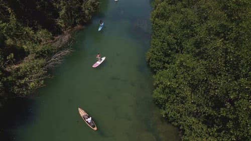 Aerial drown birds eye view static shot of paddle boarders slowly paddling up river surrounded by tr