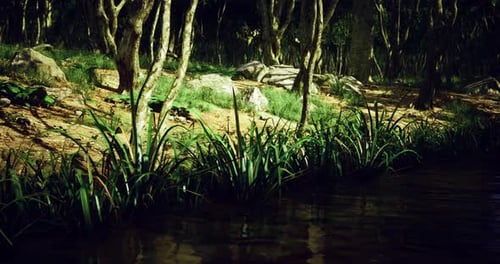 Lush Green Forest By a Tranquil Riverbank During Daytime
