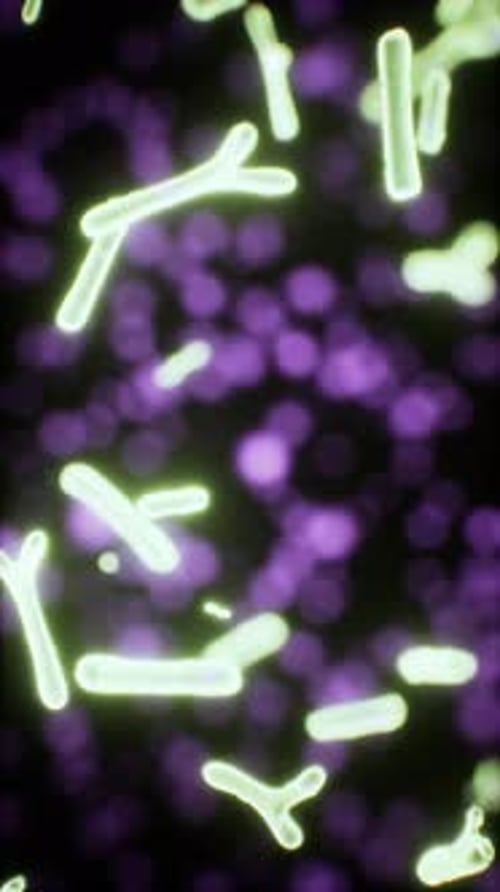 Viruses Under the Microscopic View for Education