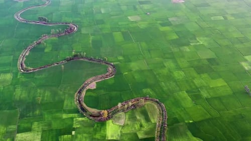 Aerial view of fields with a river, Bangladesh.