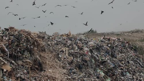 Müllberge auf einer offenen Mülldeponie Umweltverschmutzung und globale Erwärmung