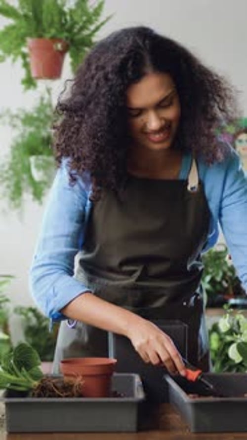 Female Gardener Transplanting House Plant in Greenhouse Woman Take Care Plants in Flower Pots