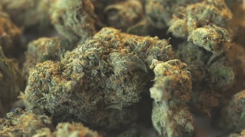 Rotierende Hintergrundschleife mit Nahaufnahme von Marihuana