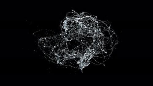 Dynamic Liquid Splash Forming Intricate Abstract Network