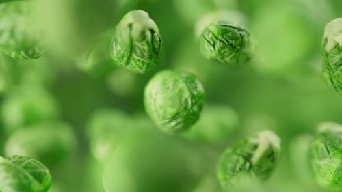 Close-Up of Fresh Brussels Sprouts in Green Background