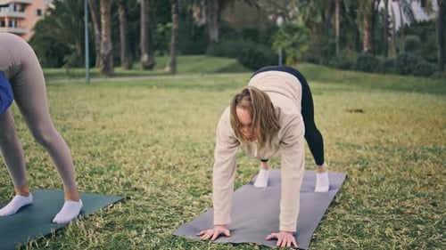 Two yoga women training flexibility together at green park lawn with morning wellbeing