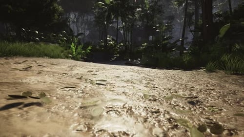 Walking in the forest during the day 4k