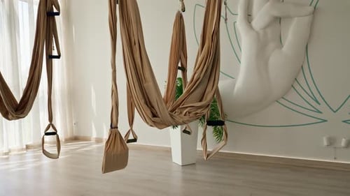 light white beautiful empty hall with brown canvases for fly yoga and meditation with flowers