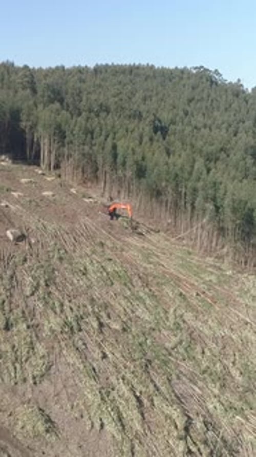 Deforestation. Aerial view of the deforestation area