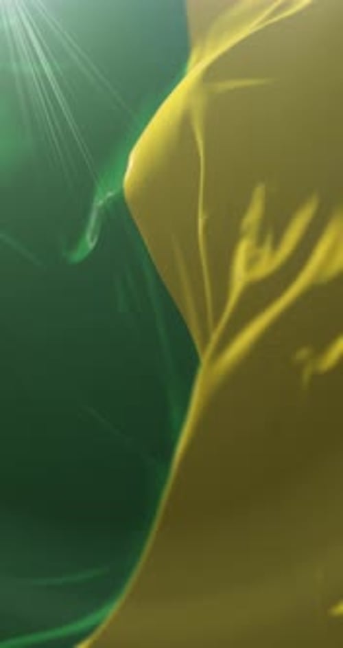 Nariño Department Flag
