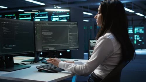 Software Developer in Data Center Ensuring System Can Handle Networking Tasks