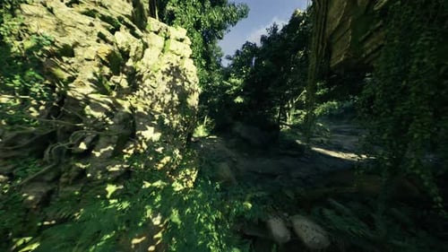 Une gorge envahie par la végétation pleine de vignes et de creux ombragés