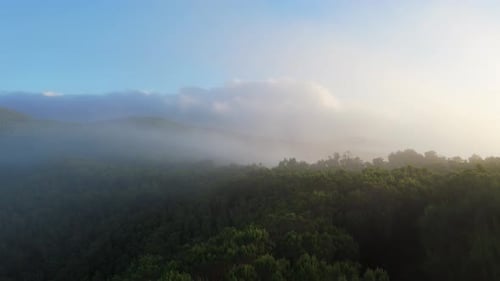 Evening Fog Over The Madeira Island Nature Shot