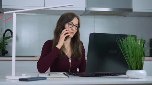 Smiling Young Business Woman Professional Talking on Phone Using Laptop Sit at Home Office Desk