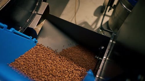 Close Up Worker at a Coffee Factory Pours Coffee From a Blue Box Int a Coffee Roasting Mechanism