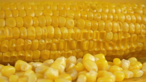 Yellow corn
