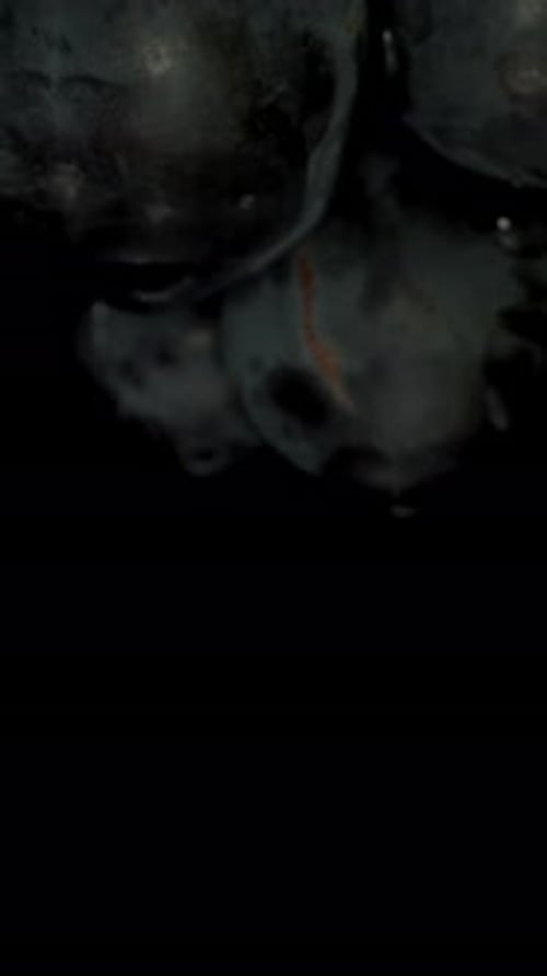 Vertical video. The camera glides between grape clusters of different varieties and colors hanging.