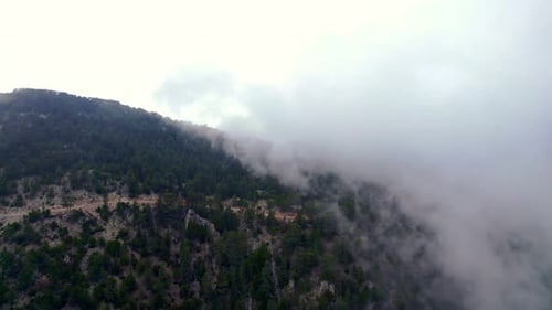 Bergstraße im nebligen Dschungel