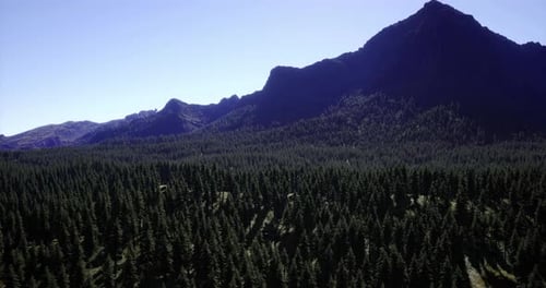 Scenic Mountain Landscape Showcasing Dense Evergreen Forest Under Clear Sky