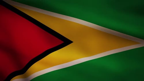 Realistic Waving Flag of Guyana Animation