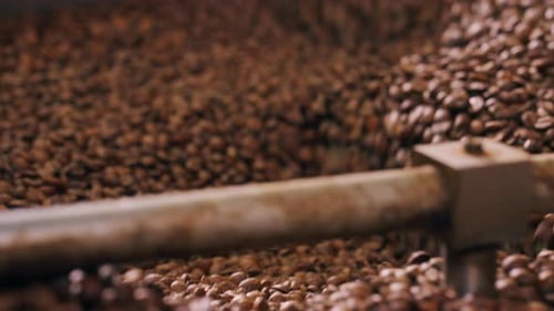 Closeup of a Coffee Roasting Factory Inside Drum Roasting Stirring Coffee