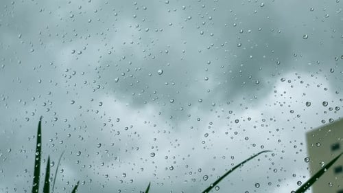 Raindrops on a window during a cloudy rainy day.