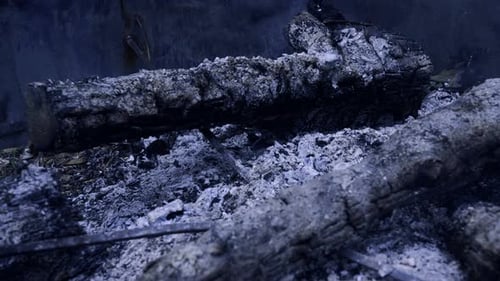 Extinguished Firewood and Ash in Metal Firepit