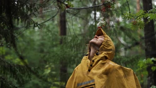 Woman Enjoying Rain in Forest Wearing Yellow Raincoat