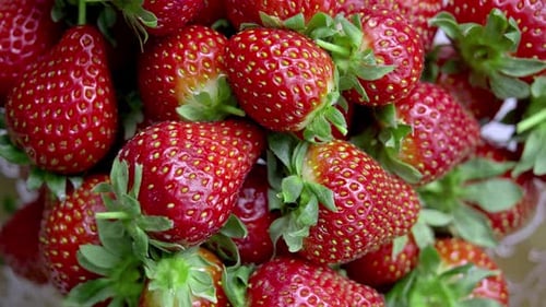 Strawberries Rotating