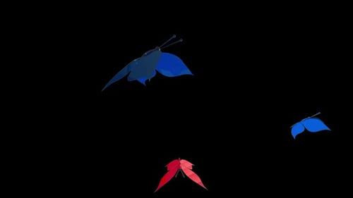 Butterfly V2