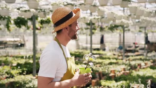 Young male gardener hands a pot with a plant to a red-haired woman on the background of a greenhouse
