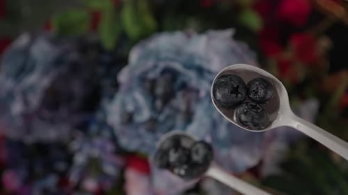Dark Blueberries in White Spoon, Falling Berry