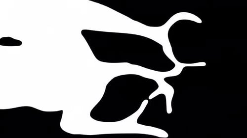 Smooth Fluid Reveal and Wipe Transition