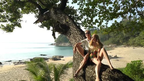 A Couple in Love Sitting on an Old Big Tree on a Wild Beach and Enjoying Privacy and Freedom