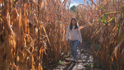 Young Woman Walks Through an Autumn Cornfield