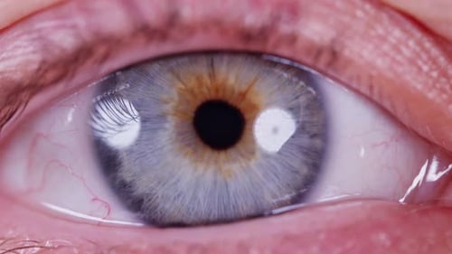 Ein Auge aus Nahaufnahme