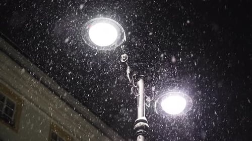 Snowflakes illuminated by bright light in park.